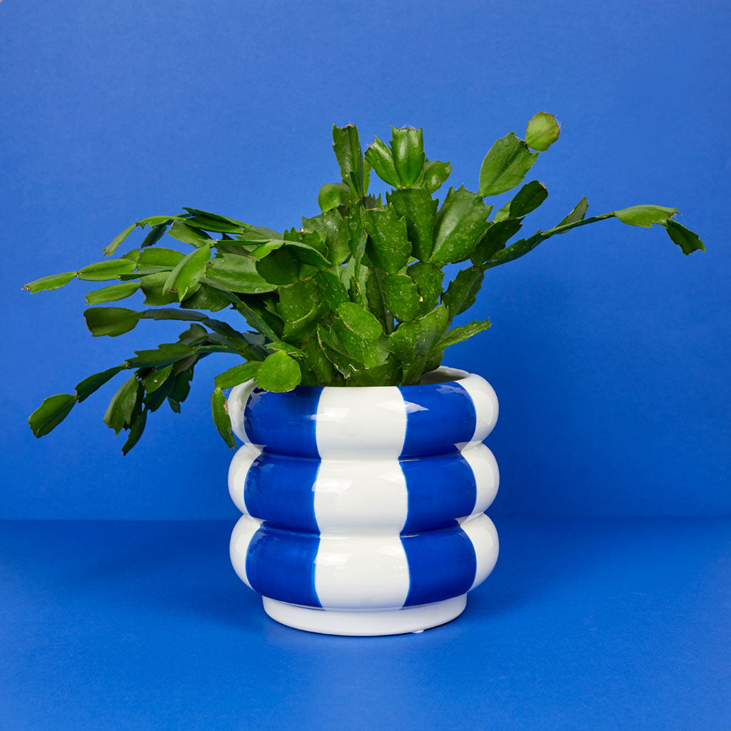 Plant Pot Floats multicolor ceramic