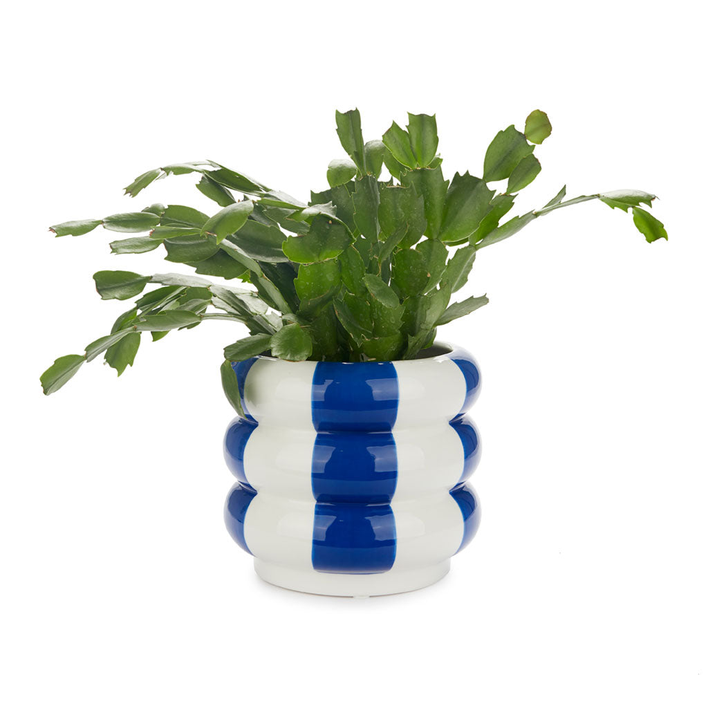 Plant Pot Floats multicolor ceramic