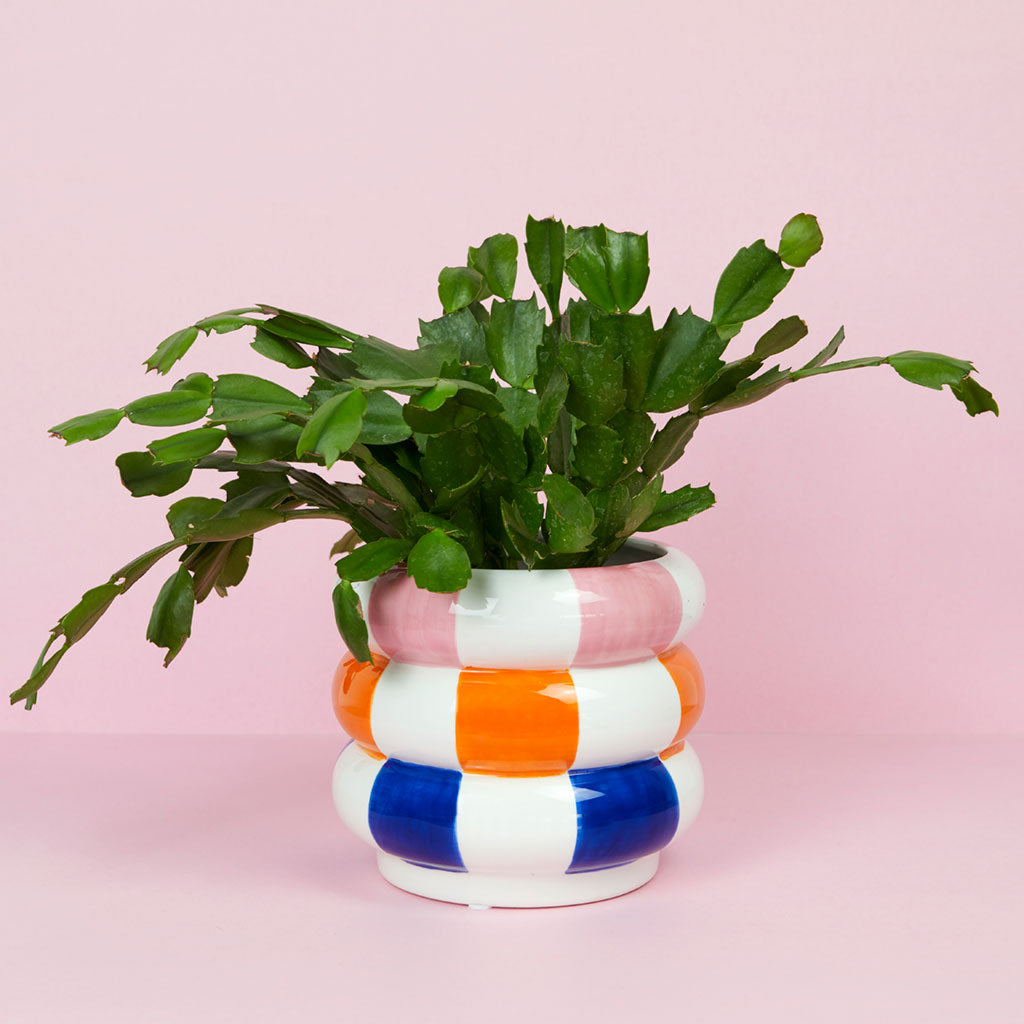 Plant Pot Floats multicolor ceramic